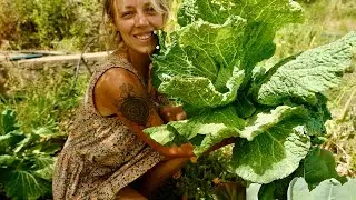 A Few Days Eating From and Tending to our Garden 🥕
