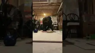 Thread the Needle