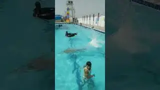 How to dive into water | Swimming Tips #fundive #openwaterdiver #diveadventure #divetraining