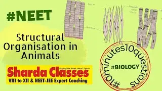#10minutes #10questions Revise #biology | Structural Organisation in Animals | #neet #mhtcet