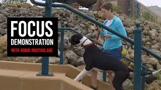 Focus Demonstration Using Stairs