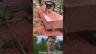 Профессор Док Стиль. Часть 2 #stihl #профессор #доктор #тренировка #реакция #часть