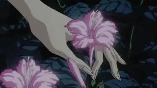 🌌 Le Subliminal Préféré de l’Univers 🌌