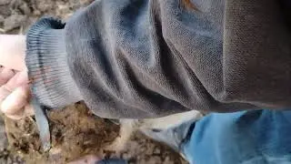 Custom hoof pick.