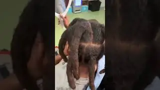 Wick Clean up. #wicks #dreads #locs #dreadlocks