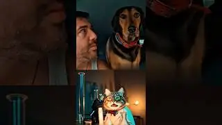 The Shocked Cat: A Scientific Revelation #shorts #viralshorts