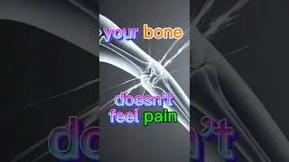 Do Bones Actually Feel Pain?
