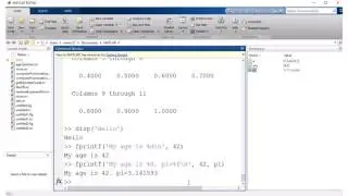 Matlab - more on Matrices, input command, plotting