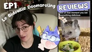 BDSR Ep 1 | Les Chats Insta Me D&eacute;truisent Les Neurones 😭📱🐾