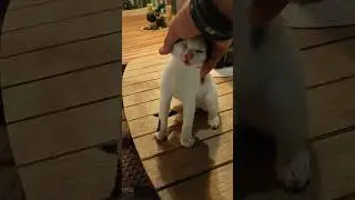 Sweet meeting 😍