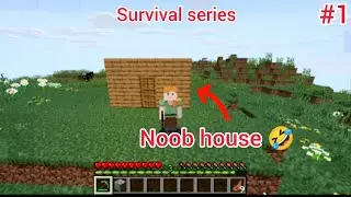 Minecraft Survival series #1 I build noob house 🤣