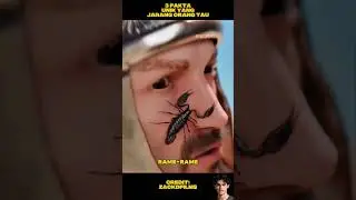 3 fakta unik yang jarang orang tau:semut ninggalin jejak, racun kalajengking, air liur burung
