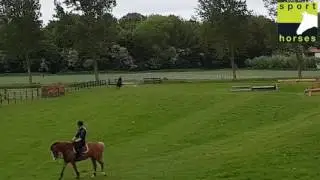 New Forest | Vivienne's Vision of Freedom | Frisian Forest Marco Polo