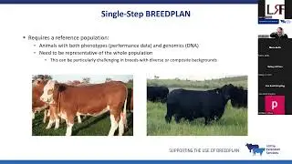 LRF Course: My breed has Single-Step EBVs: Now what?