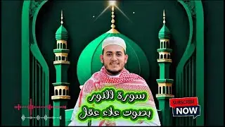 سورة النور كاملة بصوت علاء عقل | تلاوة خاشعة تهز القلوب وتريح النفس 🌿