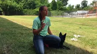 Dog Luring FAQ