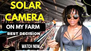 &ldquo;I Installed a Solar Camera on My Farm and It Changed Everything for me