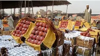 Balochistani Afghanistani and Irani Apple rate update || best quality apple || biggest apple market