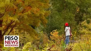 What it takes to save some of the world&rsquo;s most threatened plant species