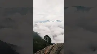 Uttarakhand&hearts;️#almora# mountains#heaven#sukoon# ytshorts