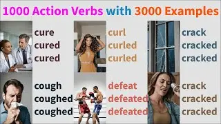 1000 English Action Verbs Vocabulary with 3000 phrases, Common Action Verbs in English with Picture