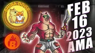 Shiba Inu Shibarium Bone и DogeCoin Multi Millionaire Whales выпустили токены ShibaDoge и Burn + NFT