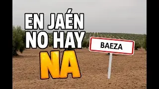 En JAÉN no hay NA. Baeza.