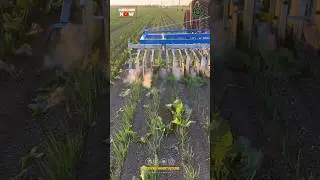 Laser Weeding Machine