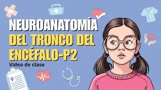 Neuroanatomía del tronco encefálico | Parte 2 | Clase de medicina 🩺🧠