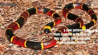 The 8 Most Dangerous Animals in New Mexico That You Need to Know