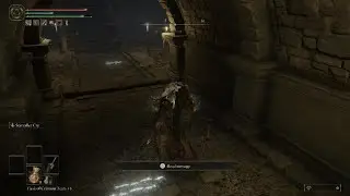 Auriza Hero's Grave Boss