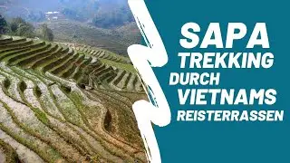 Sapa - Trekking durch Vietnams Reisterrassen | Weltreise Vlog #33, Vietnam