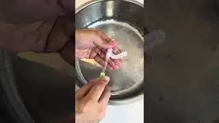 Como higienizar uma placa oclusal de forma correta