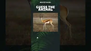 Guess the Animal | Animal Quiz 1 #shorts #animalquiz #animalsgames #trending #shortsfeed #quiz #gk