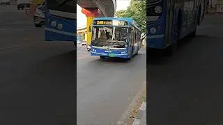 BMTC's Tata Starbus EV in action in Bangalore  #bmtc #bangalore #electricbus