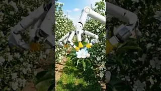 Pollination Robot Boosts Fruit Set 🤖🌼🍓#shorts