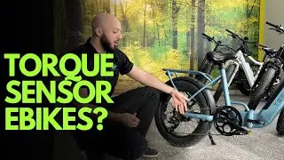What is a Torque Sensor eBike?