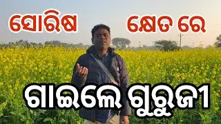 ବୃନ୍ଦାବନ ସୋରିଷ କ୍ଷେତ// ଭଜନ// LSA PARIVAR TIRTHA YATRA 