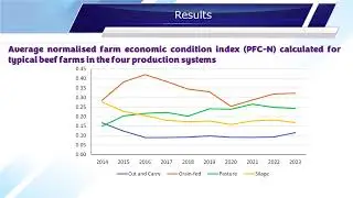 Economic Viability of Beef Farms Under Different Country-Specific Production Systems: An Analysis