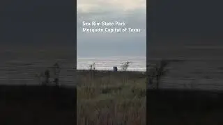 Sea Rim State Park Mosquito Capital of Texas