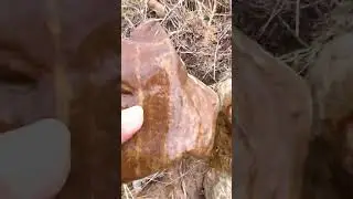 Finding Natural Agate Gemstones At The Mountain, Unbelievable Find  #crystals #quartz #gemstone