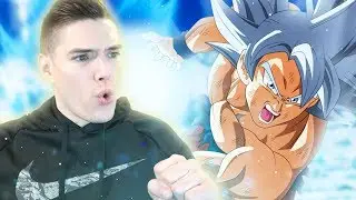 THE HARDEST FIGHT IN ALL OF DOKKAN?! Realm of Gods SBR | Dragon Ball Z Dokkan Battle