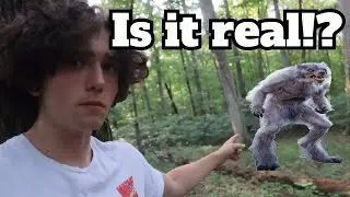 The Werewolf Springs Investigation