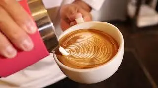 FREE POUR LATTE ART TURNER STYLE Fine Line Rosetta（ファインラインロゼッタ）