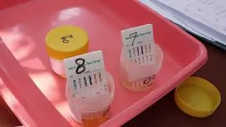 Pastikan Perjalanan Aman Nataru 2025, 77 Driver di Terminal Bungurasih Dites Urine