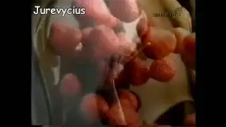 Primola, ce-i al tau e pus deoparte (reclama, septembrie 2002)
