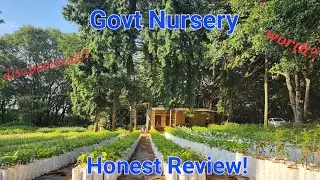 Forest department Nursery (Government) Review | Bengaluru | October visit