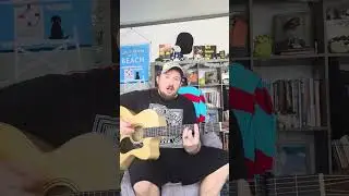 I Had Too Much to Dream Last Night (Electric Prunes acoustic cover)