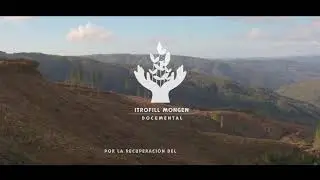Itrofill Mongen - Faena Forestal Mininco