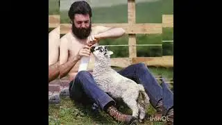 Nutwood Scene  Paul McCartney